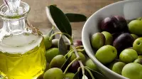 ArteOlio