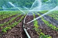 Irrigazione agricola