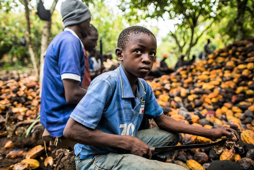 Sfruttamento minorile nelle piantagioni di cacao: Ferrero è in prima linea per contrastare questa piaga, a fianco di Save the Children