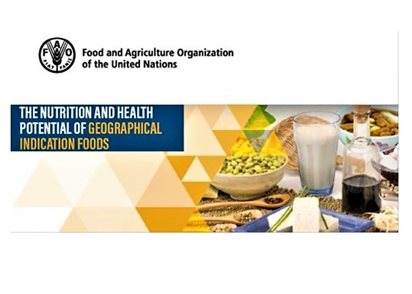 Seminario “Il potenziale nutrizionale e di salute dei prodotti alimentari a Indicazione Geografica” organizzato da Esn e Fao