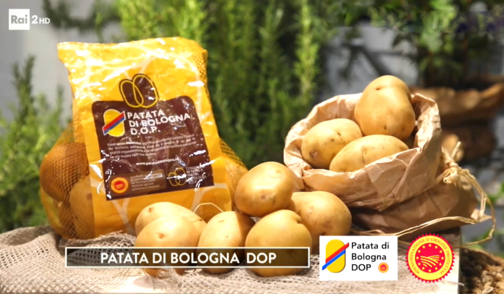 EFA News European Food Agency La Patata di Bologna DOP sbarca su Rai 2