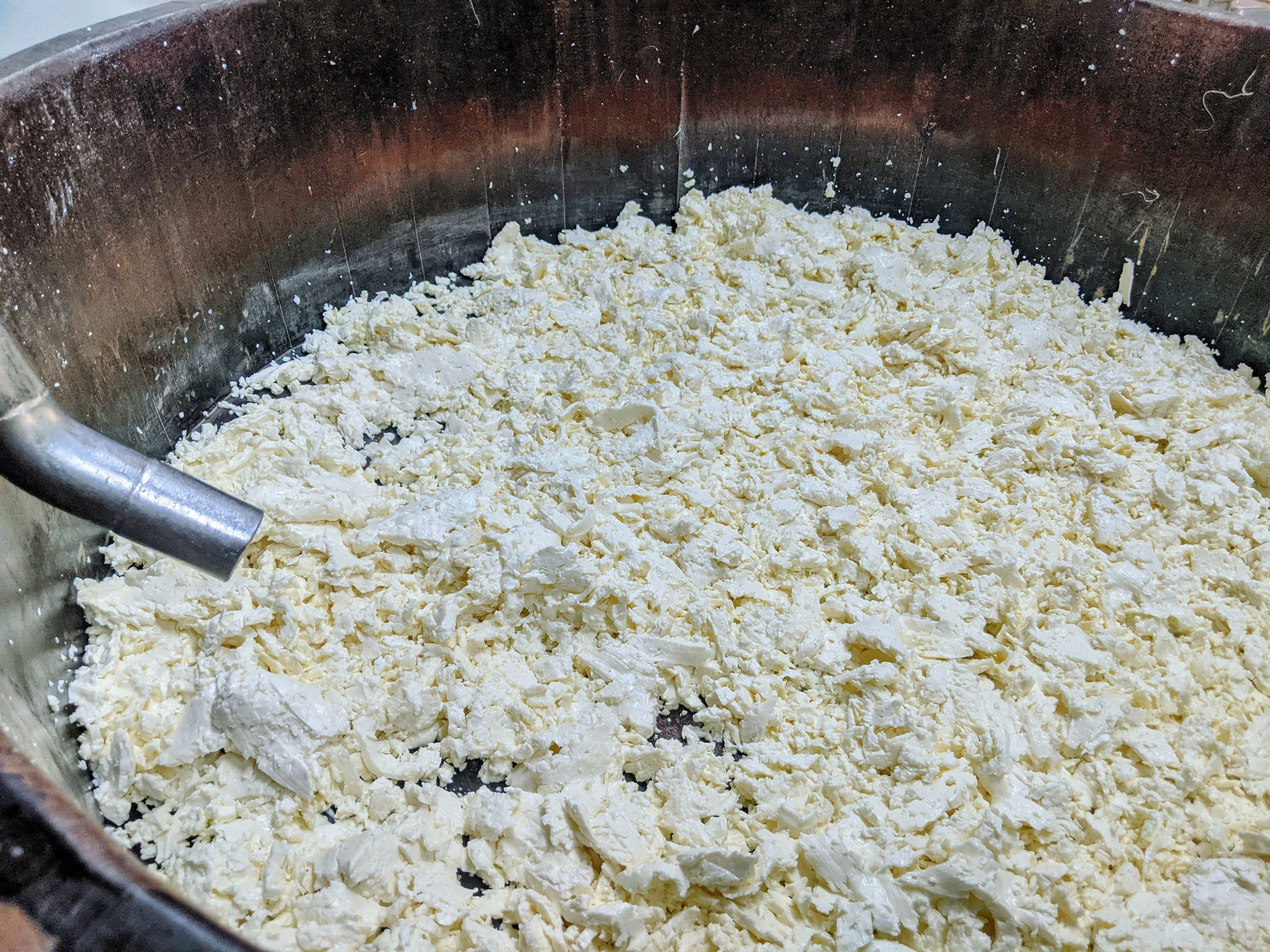 Produzione mozzarelle di bufala all'interno di uno dei casari appartenenti al Consorzio Tutela Mozzarella di Bufala Campana DOP