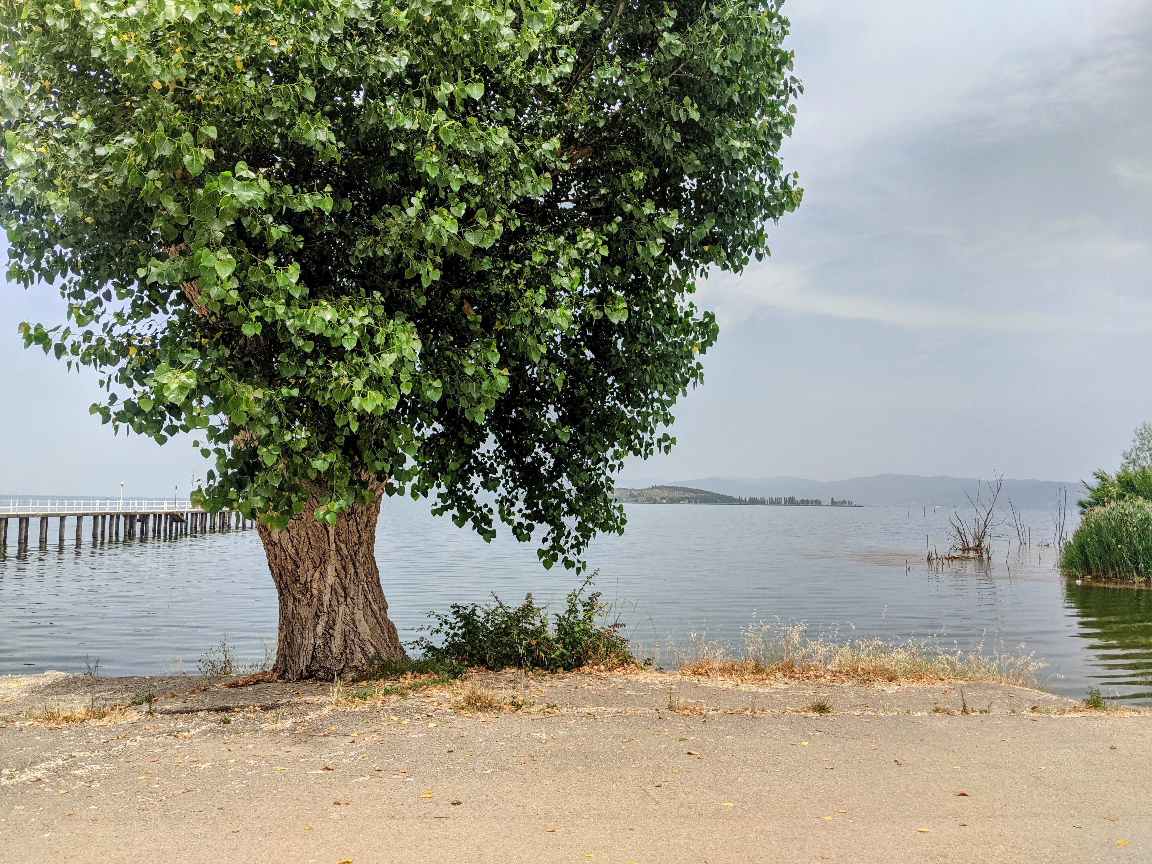 Pontile di Sant'Arcangelo presso il lago Trasimeno