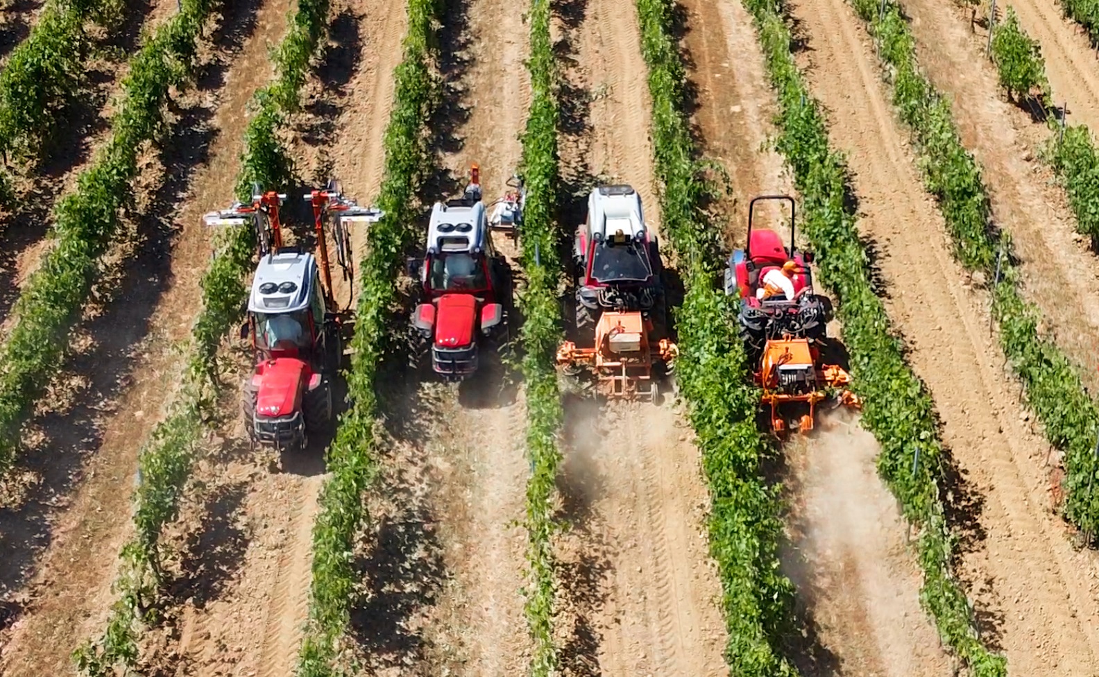 Vigneti e macchinari protagonisti di Enovitis in campo