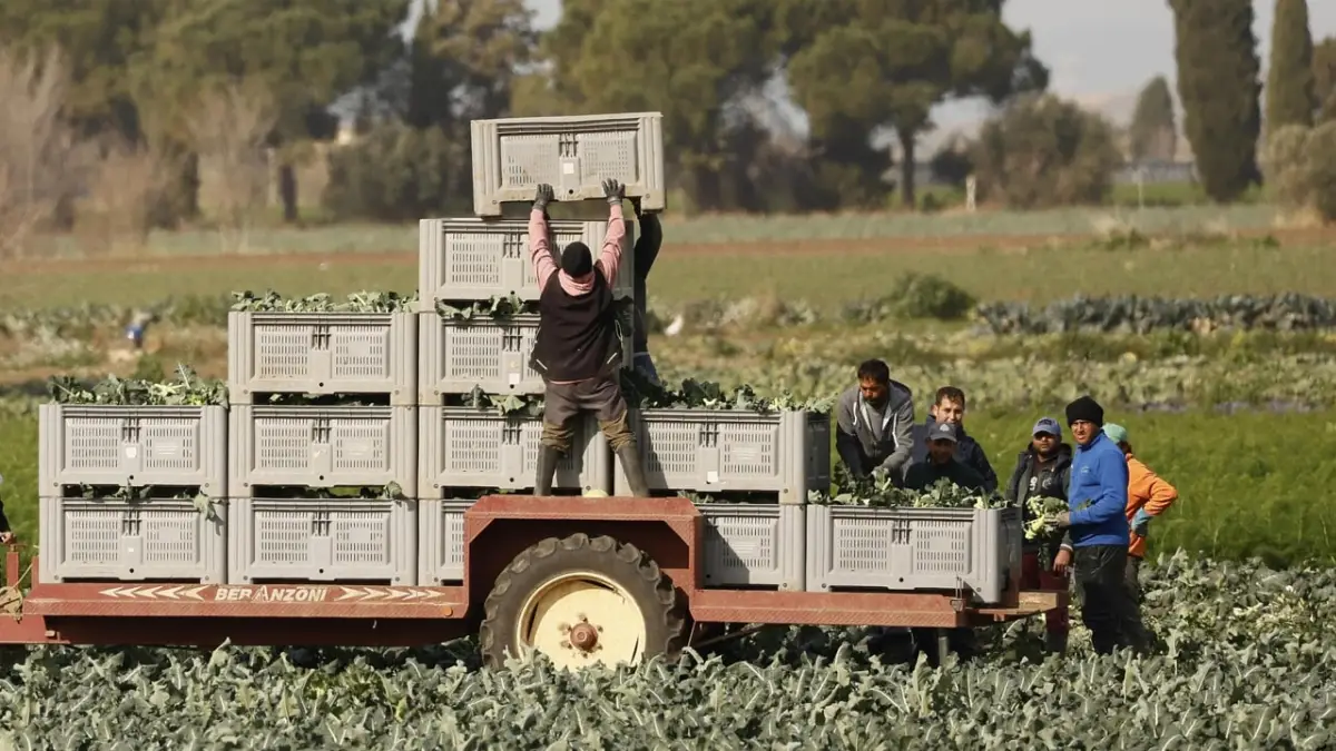 Servizio civile agricolo
