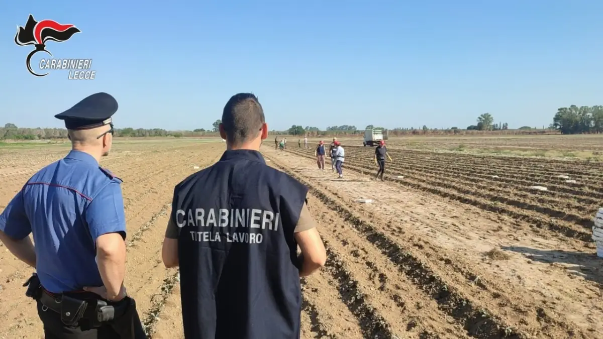Indagini della Guardia di Finanza su falsi braccianti agosto 2025