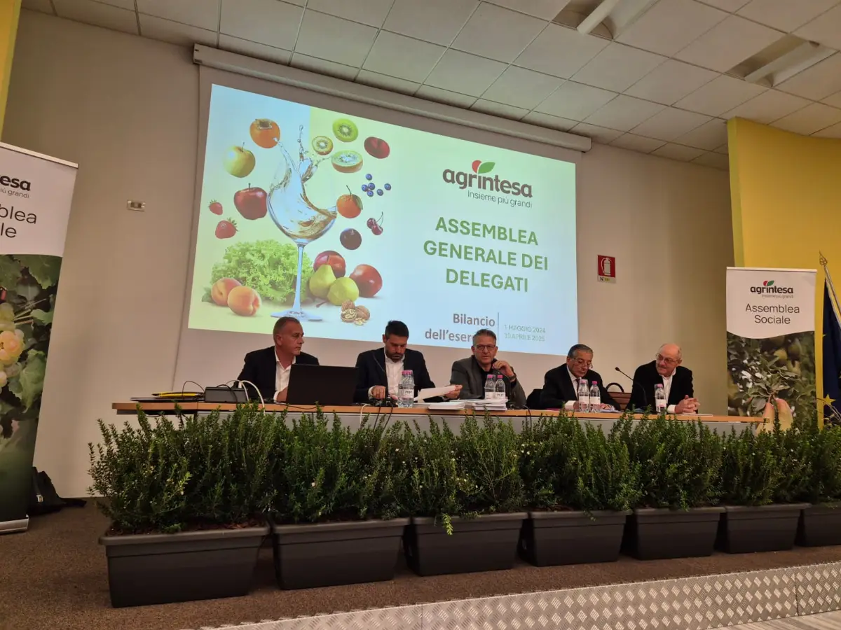 Agrintesa assemblea ottobre 2025