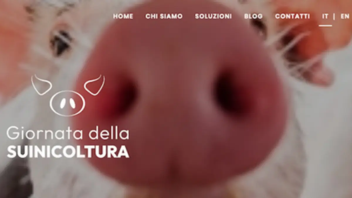 Homepage sito Giornata della Suinicoltura