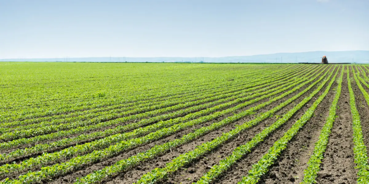 Indigo Ag