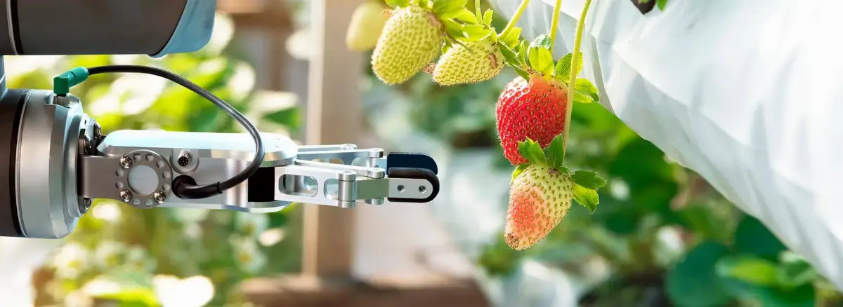 Osservatorio Smart Agrifood, Politecnico di Milano