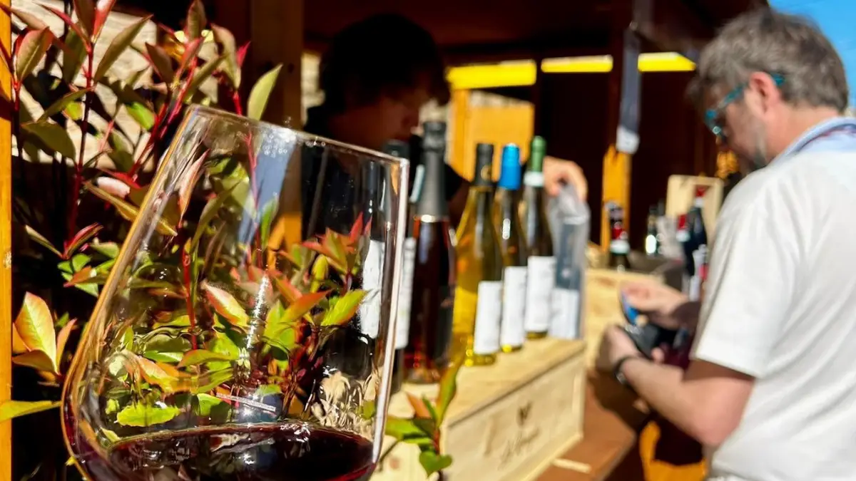 valica, marketing digitale su turismo ed enogastronomia