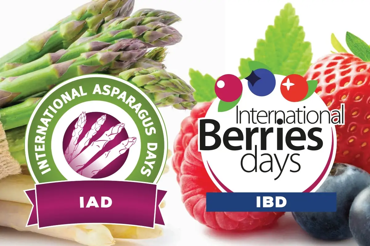 Iad - Ibd