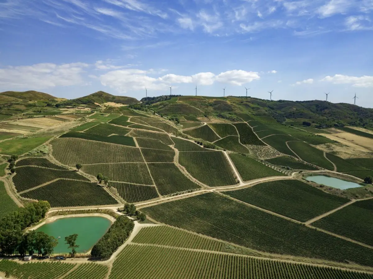 Tenuta Rapitalà in Sicilia
