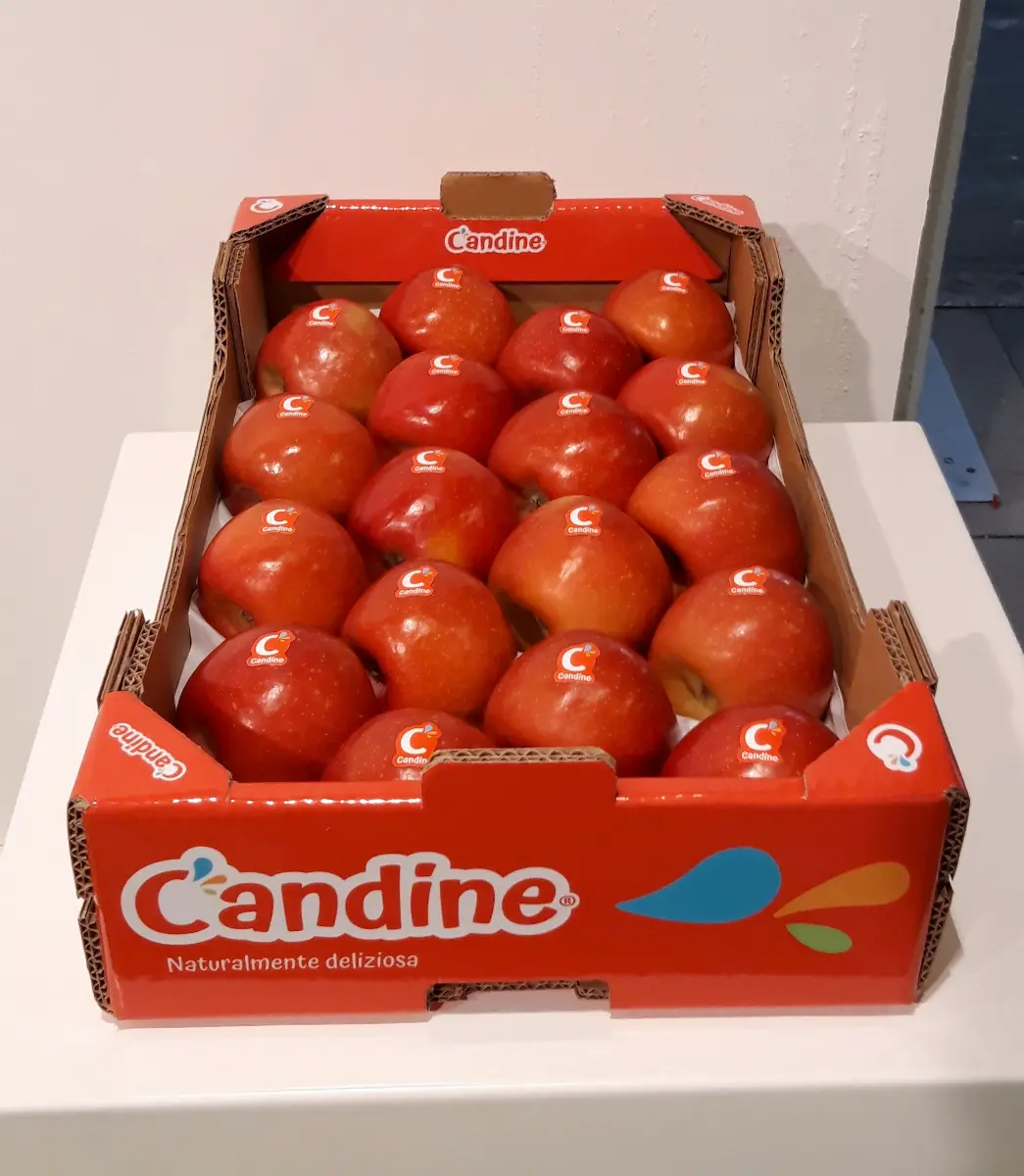 Mele Candine