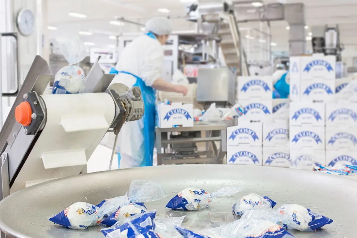 Produzione mozzarelle Latticini G. Cuomo