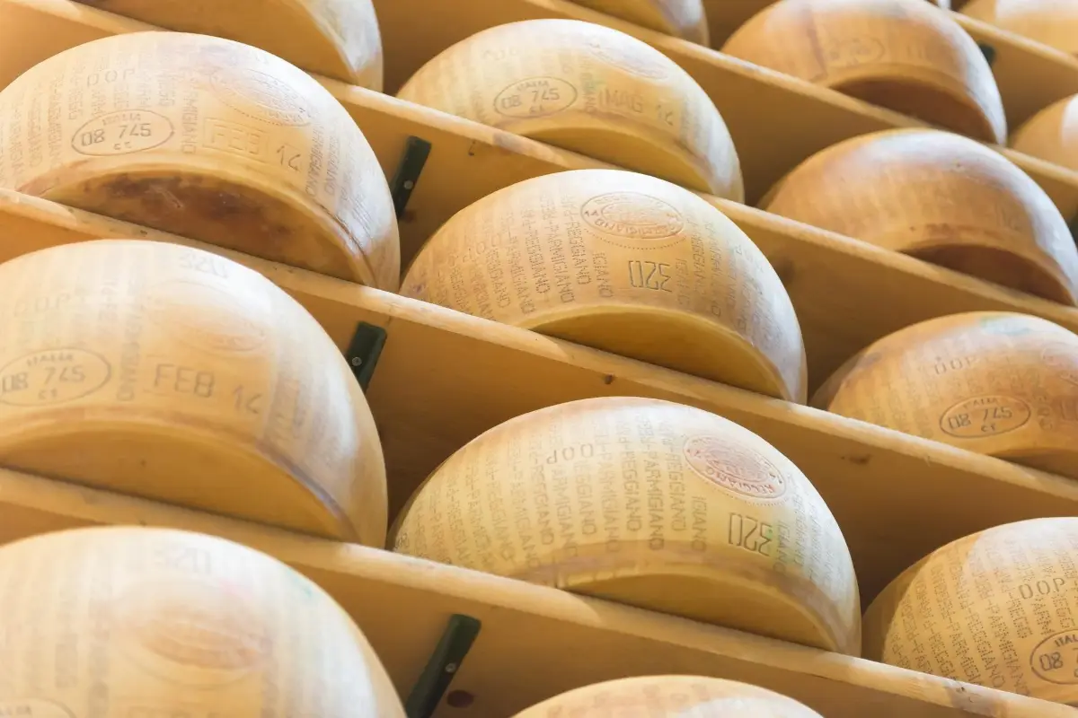 Parmigiano Reggiano, fiore all'occhiello della filiera di Dalter Food