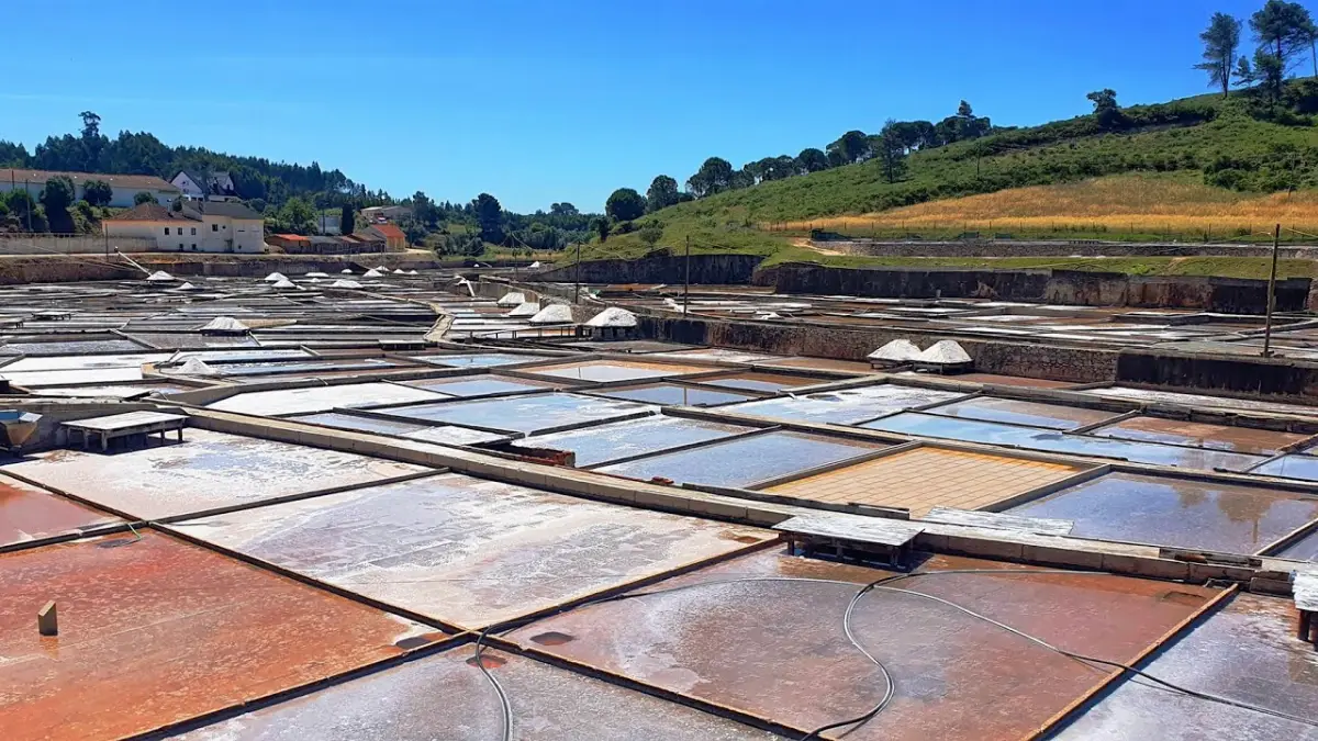 Saline di Sal de Rio Maior nei pressi di Lisbona