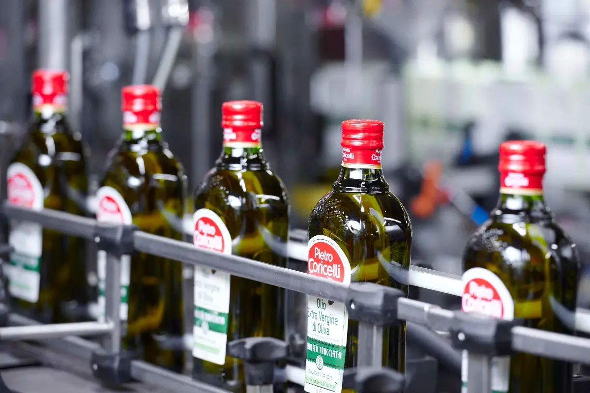 Produzione olio Pietro Coricelli