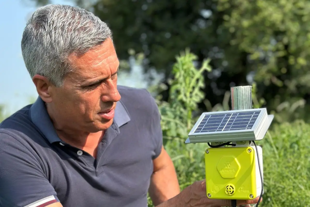 Parthership di Molini Pivetti con 3Bee per il monitoraggio della biodiversità sul campo di grano