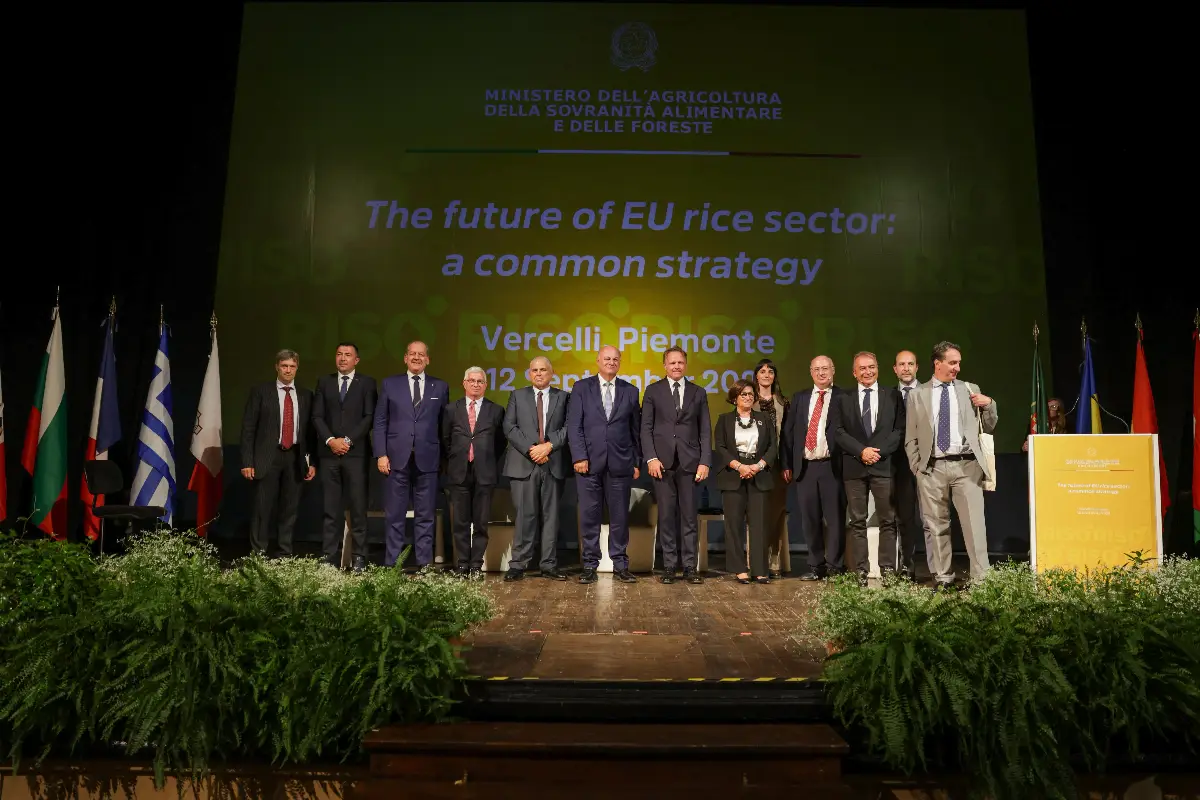 Risò. al convegno 'The Future of EU Rice Sector - A Common Strategy' viene ufficialmente istituita l'Alleanza EURice, il gruppo di coordinamento permanente dei Paesi produttori di riso dell'UE
