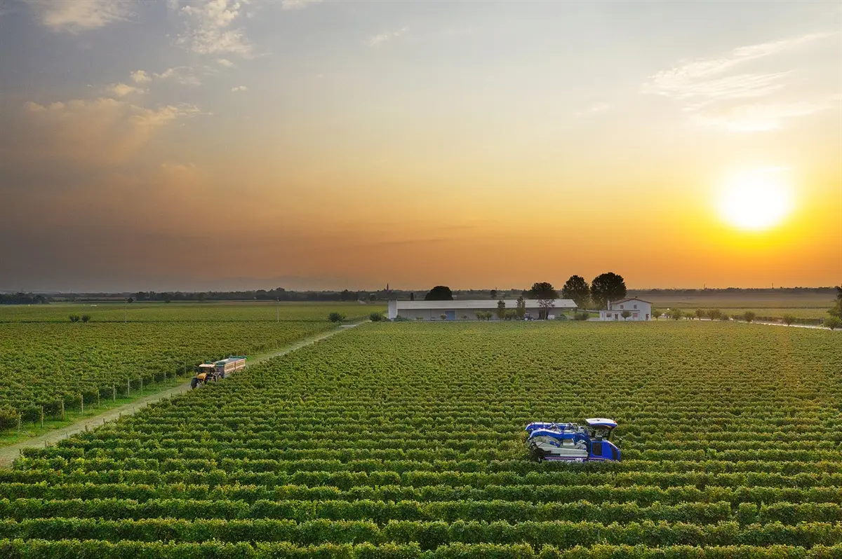 Pac, politica agricola comune