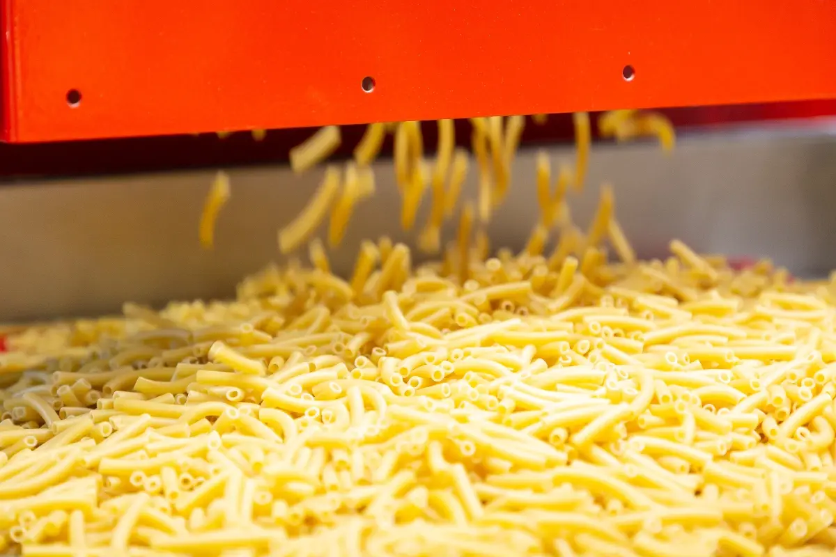 Fabbricazione pasta