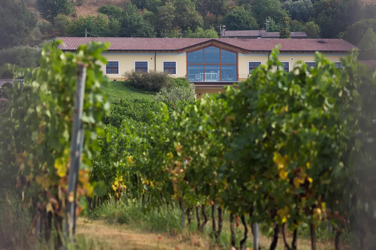La cantina di Caprino