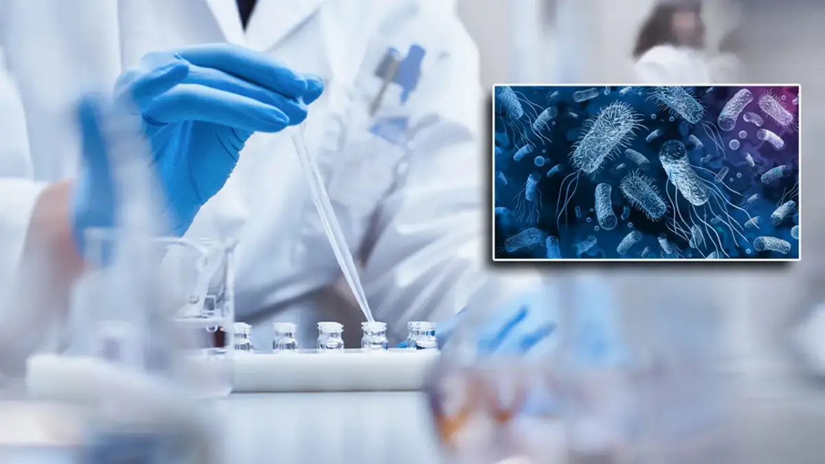 Salmonella intossicazioni a Reggio Emilia