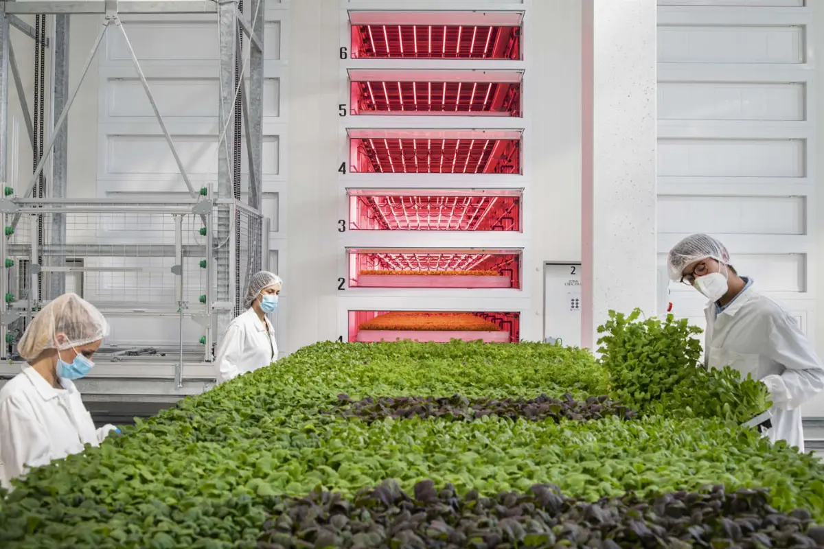 Agricola Moderna