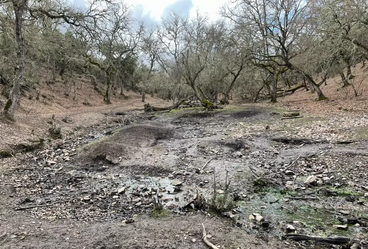 Degrado Parque Nacional Cabaneros, Spagna