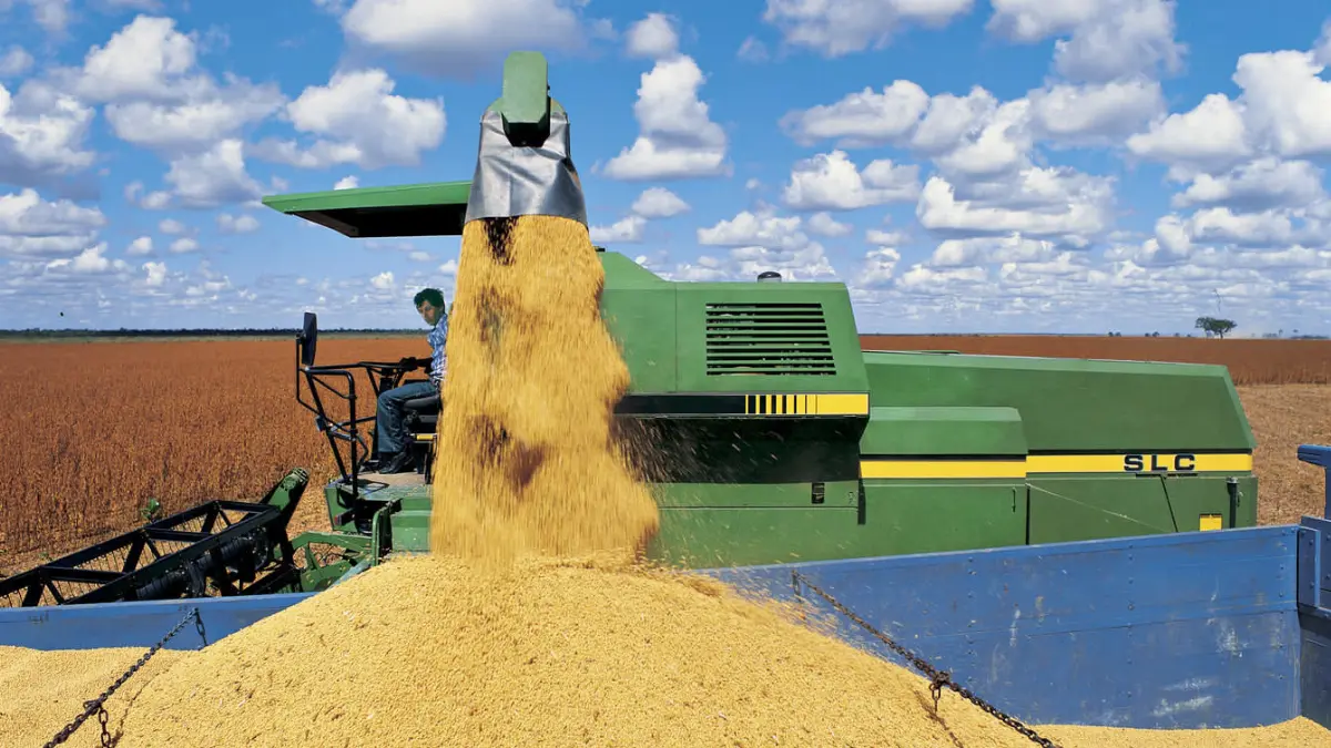Materie prime agricole