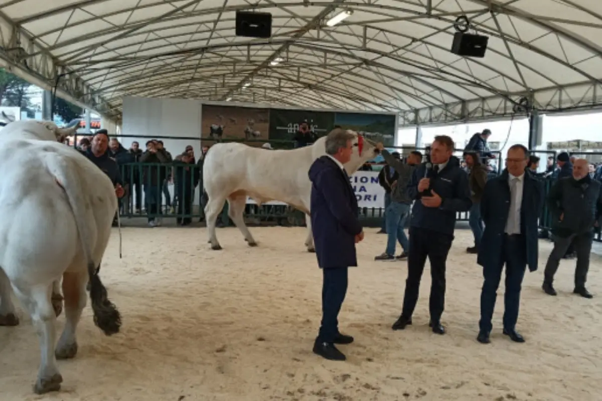 Ministro Lollobrigida interviene ad Agriumbria 2025