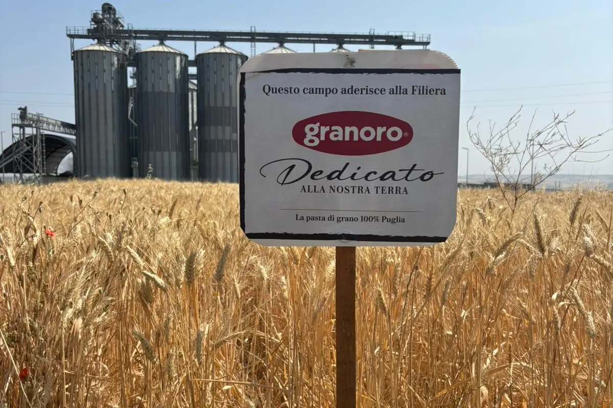 Filiera Granoro