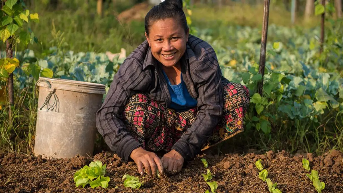 Asian development bank (Adb) aiuta con 26 miliardi di dollari l'espansione agricola in Asia e Pacifico