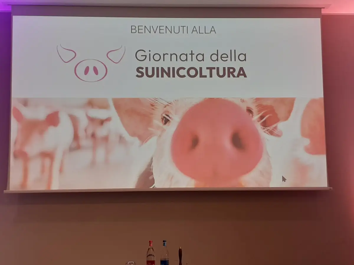 Giornata della Suinicoltura, Modena 15/10/2025