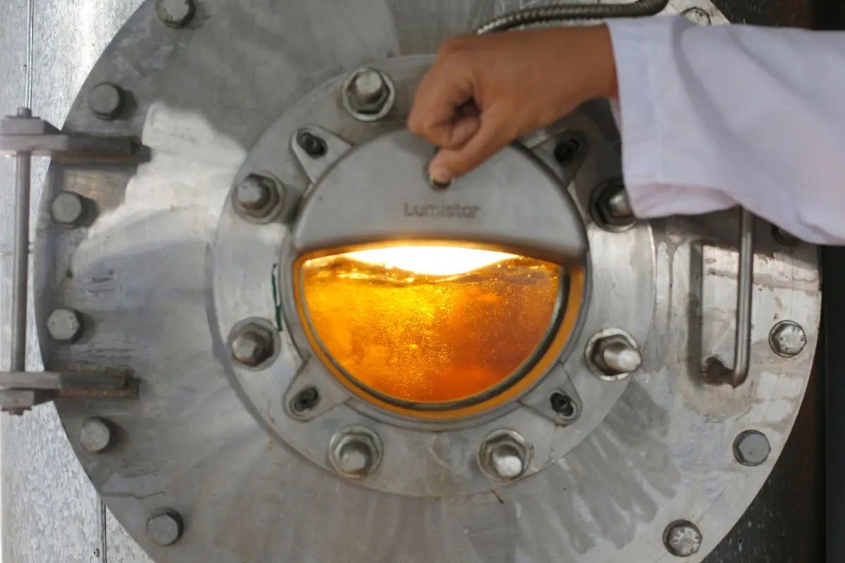 Impianto di raffineria per olio di semi di girasole