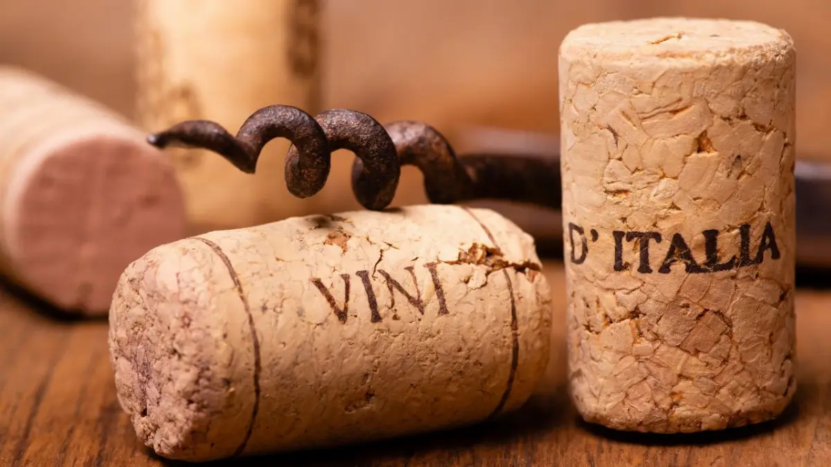Tappi da vino