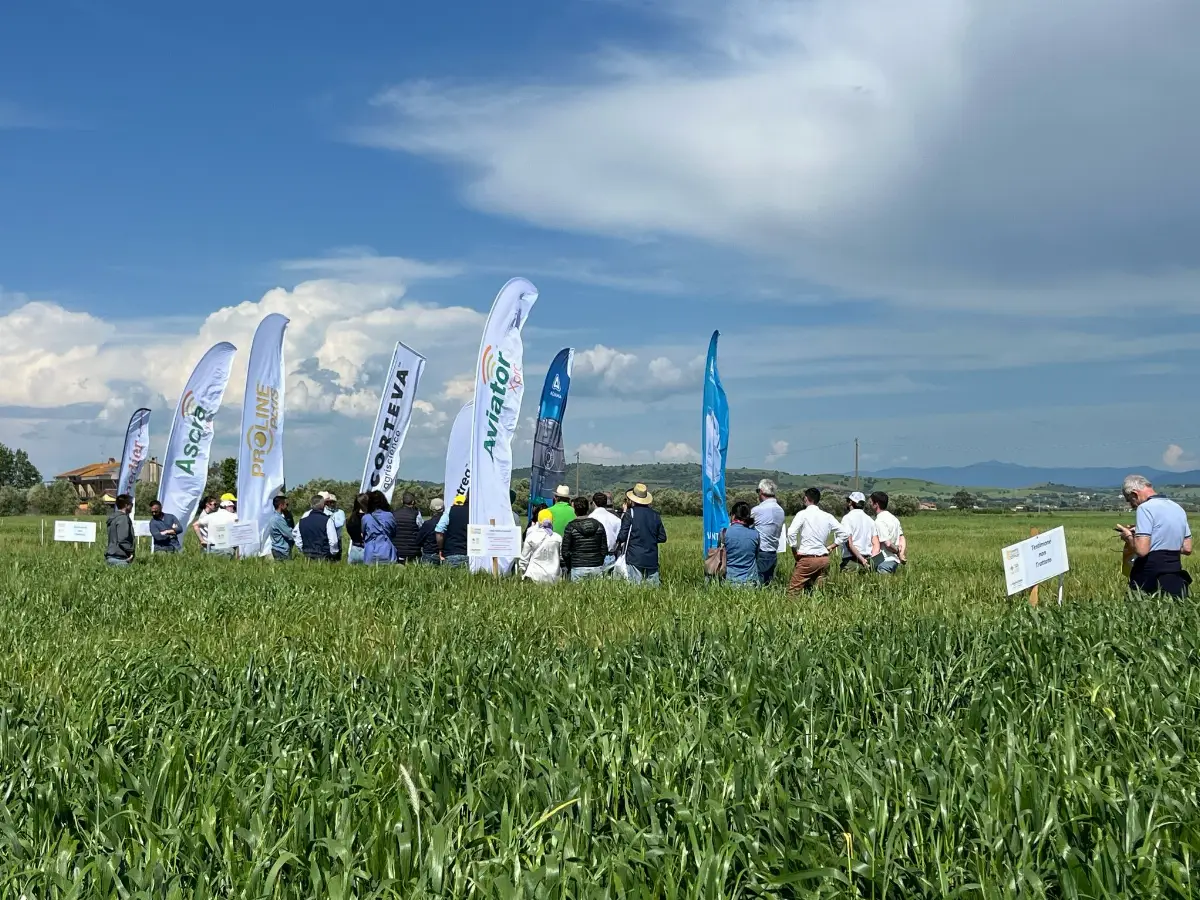 Cai Giornate in campo