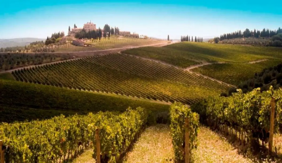 Castello di San Donato in Perano