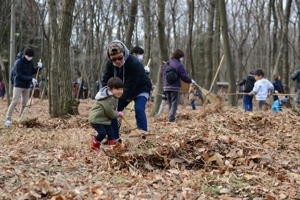 Le comunità locali di Musashino hanno sviluppato la pratica di utilizzare le foglie cadute dalla foresta come compost per arare i campi.