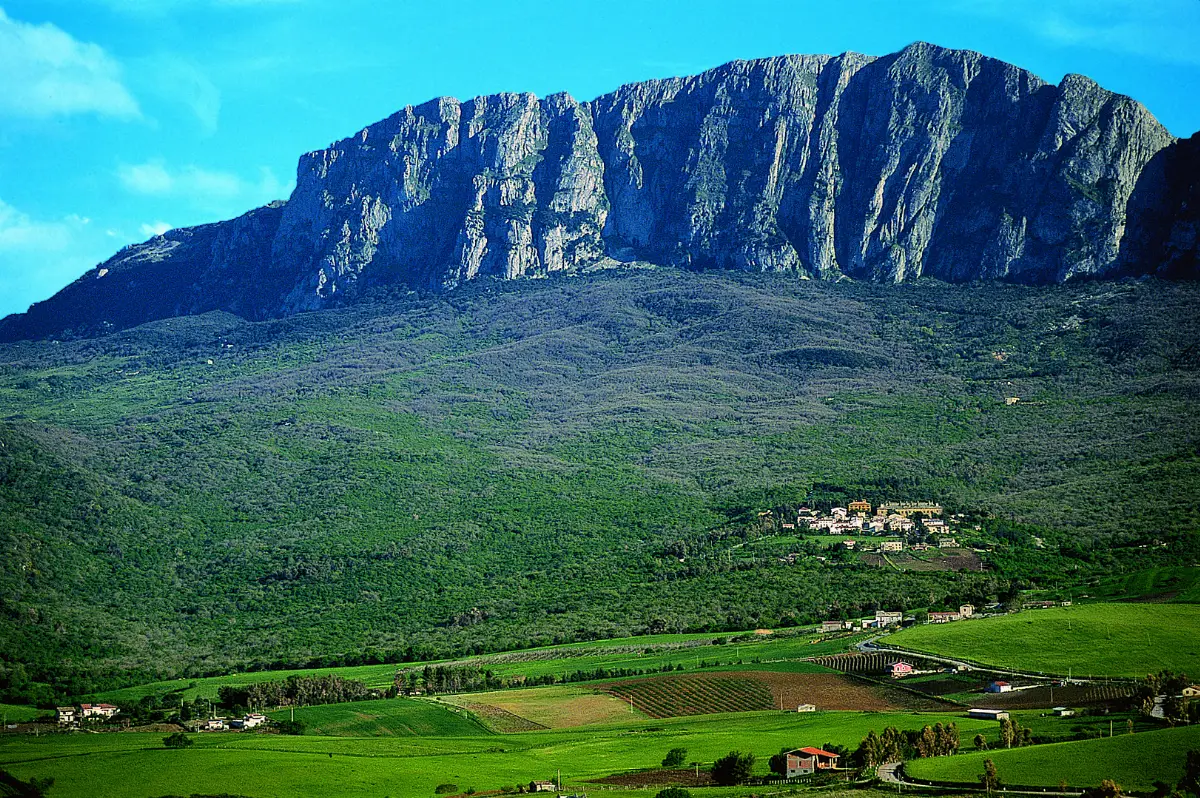 Riserva Naturale Orientata del Bosco della Ficuzza (Palermo)