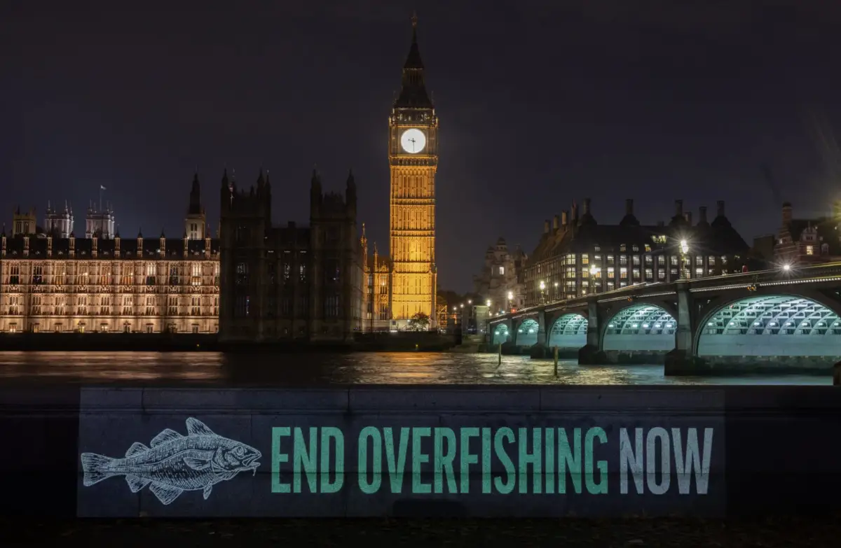 Oceana UK, campagna contro l'overfishing