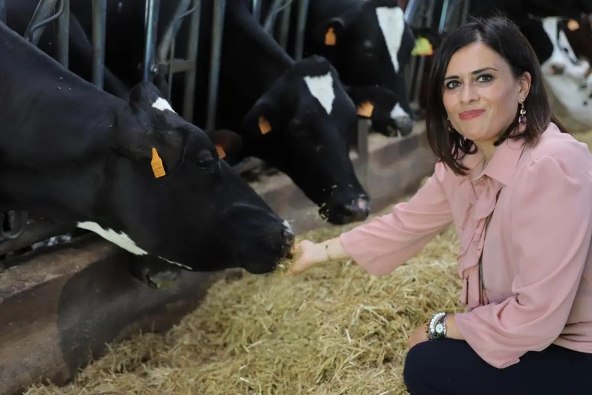 Sen. Maria Nocco (Fdi)