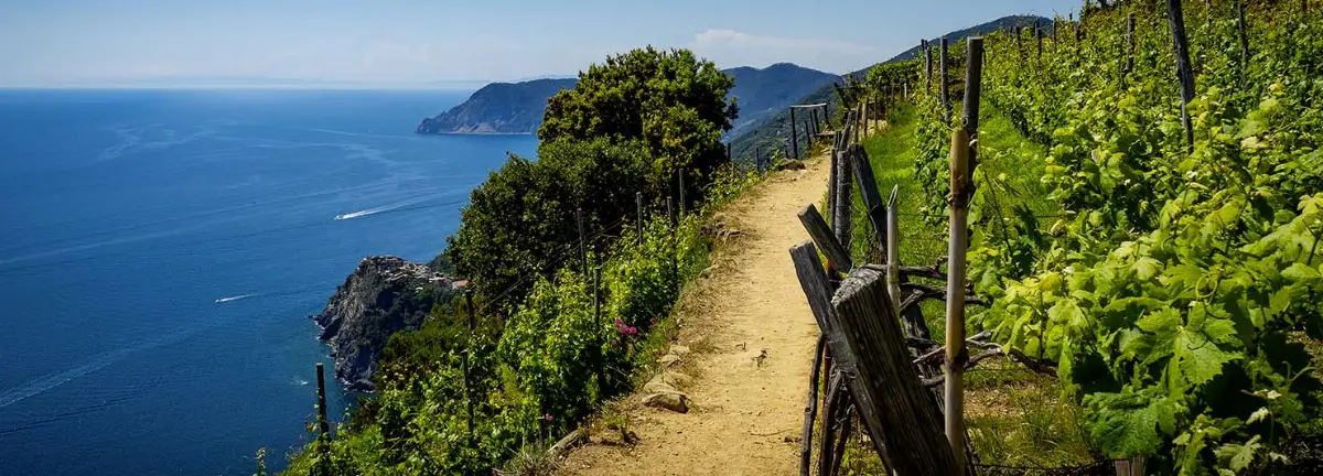 Agricoltura nell'entroterra della Liguria