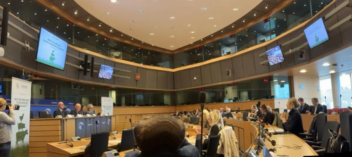 Presentazione libro “Meats And Cured Meats: The New Frontiers of Sustainability”, scritto dagli autori Elisabetta Bernardi, Ettore Capri e Giuseppe Pulina. Bruxelles, 24/10/23
