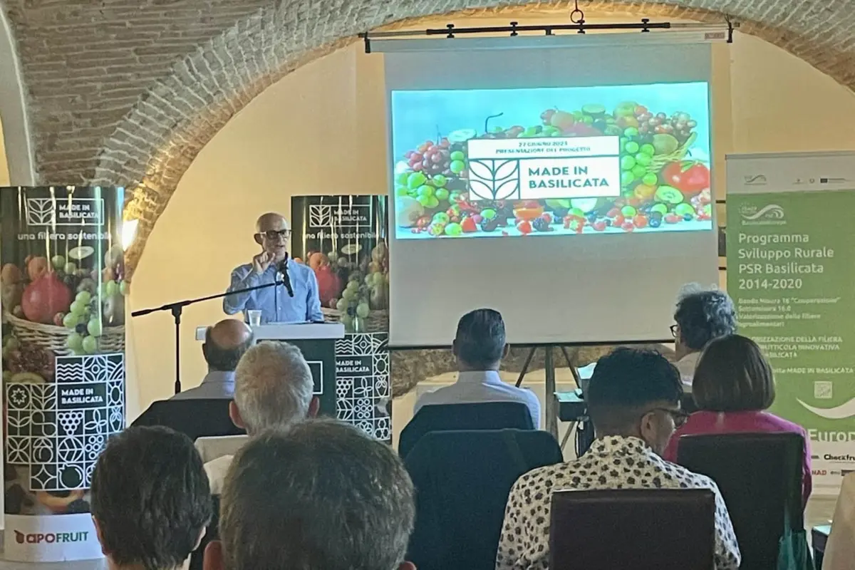 Presentazione progetto ortofrutta Made in Basilicata (Policoro, 28 giugno 2023)