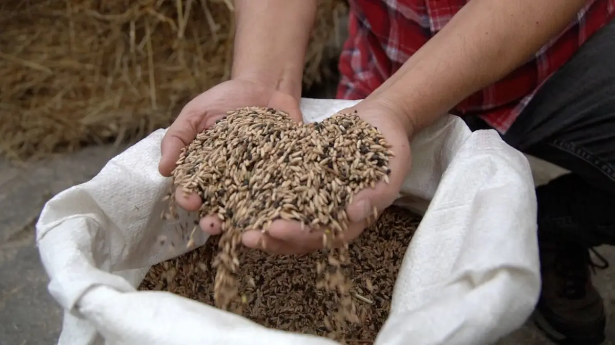 Secena, nuovo presidio Slow Food nel parco nazionale del Matese
