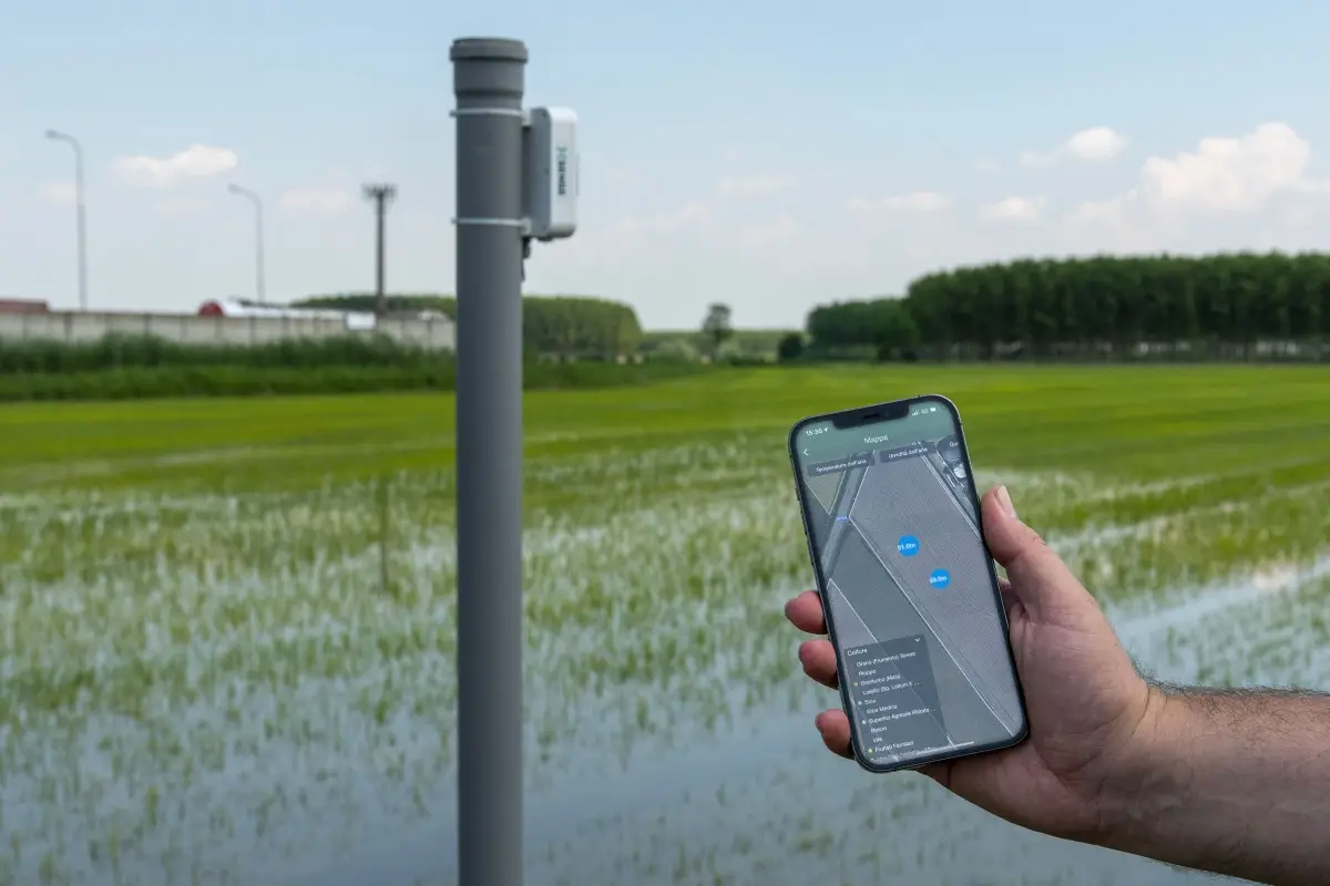 App Riso Gallo xFarm in risaia