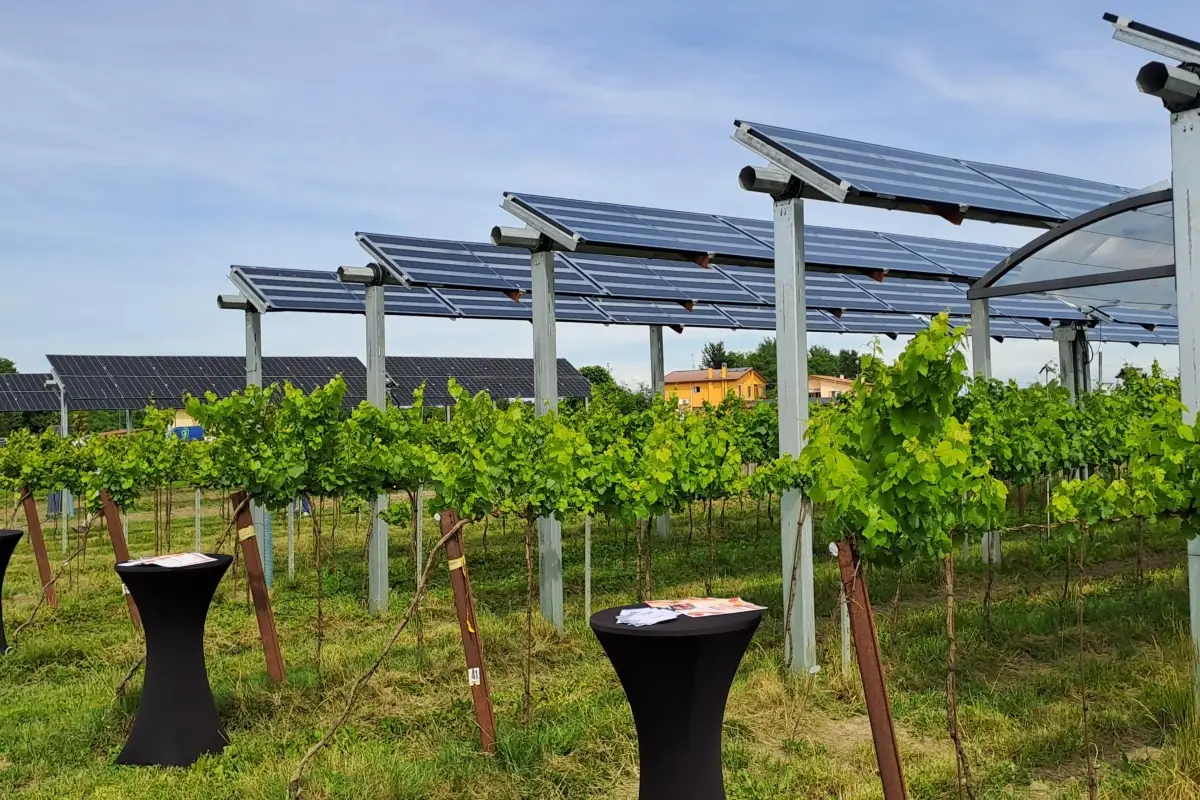 Il primo impianto agrivoltaico avanzato del Friuli Venezia Giulia a Palazzolo dello Stella