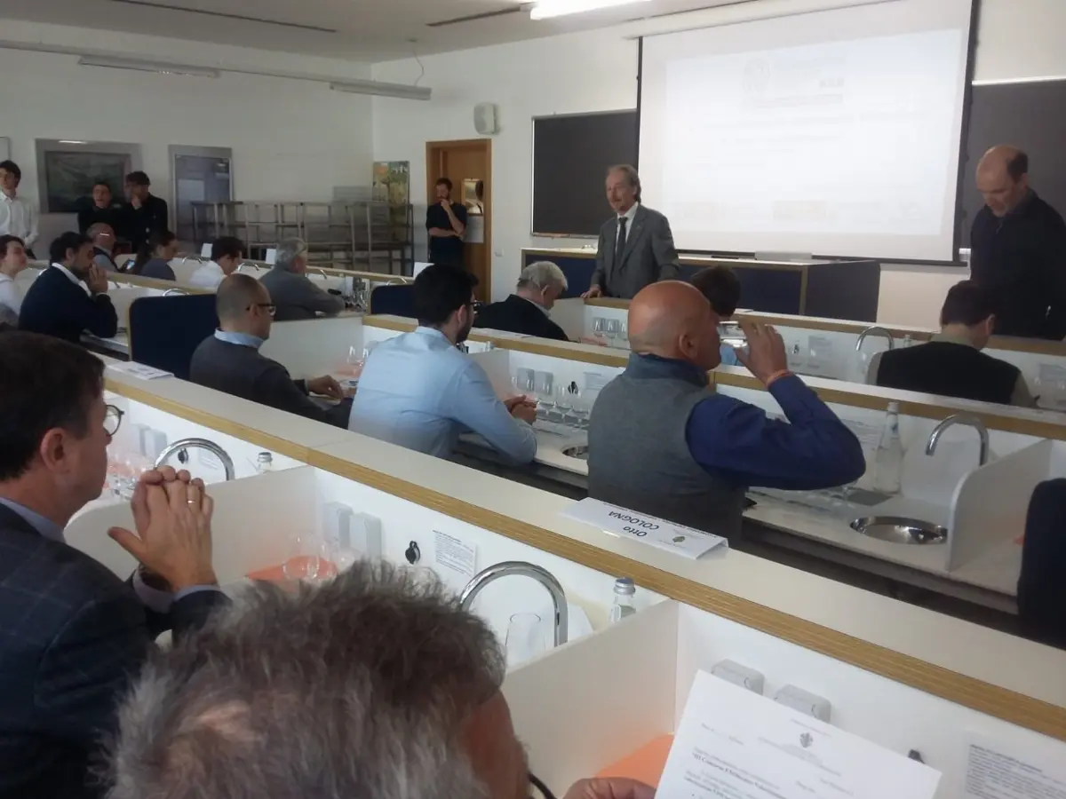 "Fem" in Trentino, il 3° concorso sui vini del territorio (28 e 29 marzo 2019)